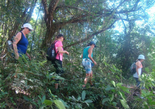 /
